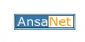 Computer Programming in DORCHESTER - AnsaNet Ltd