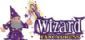 Fancy Dress in NEWPORT PAGNELL - Wizard Fancy Dress