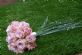 florists in HIGH WYCOMBE - S J Floral Designs