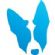 dog training in MAIDSTONE - Dogminds