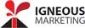 marketing in SOUTHAMPTON - Igneous Marketing