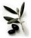 Cafes in ALNWICK - The Black Olive Cafe