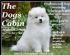 Dog Grooming in LEYLAND - The Dogs Cabin