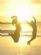 massage therapists in BIRMINGHAM - Holistic Treatments Birmingham massage therapists in BIRMINGHAM - Holistic Treatments Birmingham