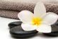 cleaners in BASILDON - Petal Cleaning Services