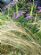 gardeners in ILKLEY - Grow Ilkley gardeners in ILKLEY - Grow Ilkley