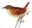 computer support in LINCOLN - Wren (UK) Ltd