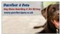  in NORTH SHIELDS - Purrfect 4 Pets Dog Home Boarding and Pet Sitting Service