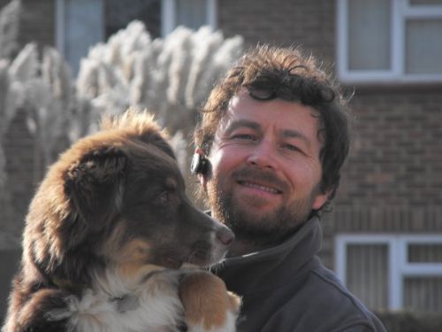 Dog Home Boarding Kings Lynn Dog Home Boarding Kings Lynn
