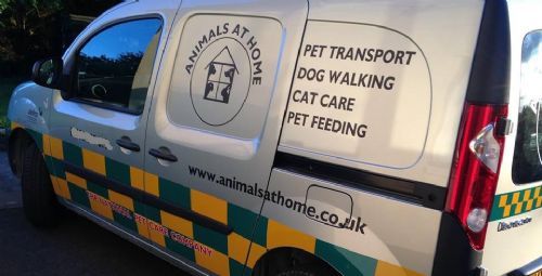 Dog Home Boarding Kings Lynn Dog Home Boarding Kings Lynn