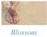 reflexology in LEEDS - Blossom Beauty Therapy reflexology in LEEDS - Blossom Beauty Therapy