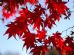 Relationship Counselling in COLCHESTER - Colchester Confidential Counselling