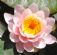  in NOTTINGHAM - Body Balance Oriental Therapies