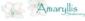 Personalised Stationery in THORNHILL - Amaryllis Stationery