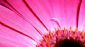 Beauty Treatments in LEEDS - Liz Bluss Mobile Beautician