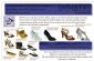Shoes in READING - B-u-neeq Ladies Footwear