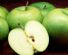 Nutritional Therapy in SUTTON COLDFIELD - Genesis Health & Nutrition @ Anam Cara