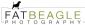 photographers in CHELTENHAM - Fat Beagle Photography photographers in CHELTENHAM - Fat Beagle Photography
