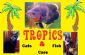 pet sitting in COLCHESTER - Tropics Fish and Cat Sitting