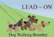 dog walkers in BROMLEY - Lead On ~ Dog Walking Bromley dog walkers in BROMLEY - Lead On ~ Dog Walking Bromley