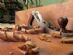 builders in NORWICH - J Burgess carpentry services