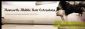 hairdressers in NEWCASTLE UPON TYNE - Newcastle Mobile Hair Extensions