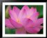 complementary therapy in CARDIFF - My Happy Life Therapy complementary therapy in CARDIFF - My Happy Life Therapy