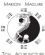 acupuncture in BIRMINGHAM - Marion Maguire Acupuncture