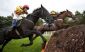 Bookmakers in RUGBY - Max Bet Racing