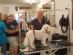 Dog Grooming in BRIDGEND - Paws Galore Dog Grooming Service