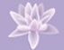 Counselling in STOCKPORT - Stockport Counselling