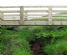 Environment and Ecology Management in BURY - Martins Countryside Contracting Ltd