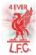 Sports Clothing in WORCESTER - Lfc4Ever