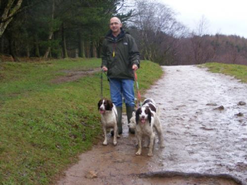 Dog Walking Services Calverley Dog Walking Services Calverley