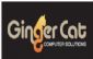computer repair in CANTERBURY - Ginger Cat Canterbury Computer Solutions