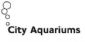 Aquariums in romford - City Aquariums