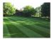Gardening in DINAS POWYS - Cardiff and The Vale Gardens