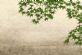 Therapeutic Massage in YORK - Tomoko's Holistic Therapy Therapeutic Massage in YORK - Tomoko's Holistic Therapy