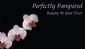 beauty in LONDON - Perfectly Pampered