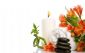Therapeutic Massage in EXETER - Sense In Scents