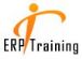 Training Service Providers in LONDON - ERP Training