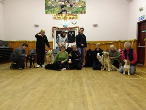 Active Paws Ltd - Pet Walker and Sitter in Laurencekirk (UK)