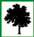 Draughtsman in BIRMINGHAM - Parkstone Design & Build Services