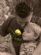 Photographers in SOUTH CROYDON - Denise Miller Photography