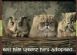 Family History in REDHILL - AdoptionTracer Family History in REDHILL - AdoptionTracer
