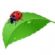 cleaners in BASILDON - Ladybird Home and Garden Care