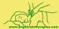 Therapeutic Massage in BICESTER - Brightside Therapies