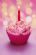 in GILLINGHAM - Buttercream Batch Cupcake Makers in GILLINGHAM - Buttercream Batch Cupcake Makers