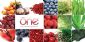 Health Shops in PURFLEET - Origin Pure