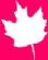 Industrial Supplies in CHEADLE - Canadian Pumps and Sprayers